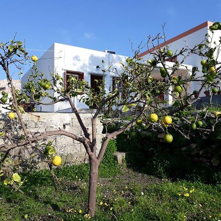 Maria Guesthouse Kini Exterior photo